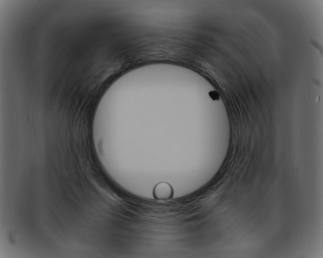 X0000094080215200710190925