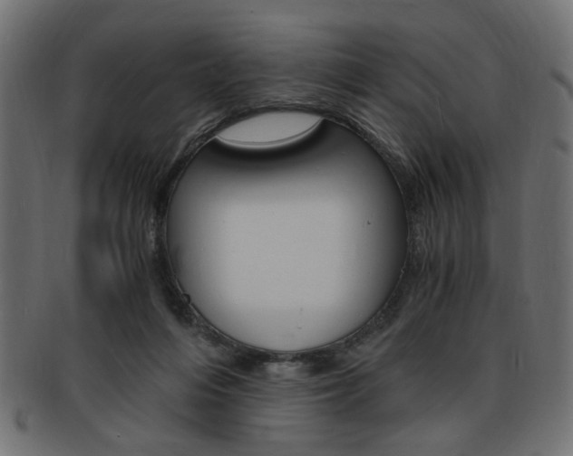 X0000094080216200710190925