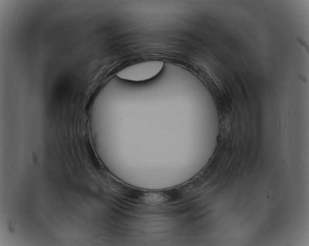 X0000094080218200710190925