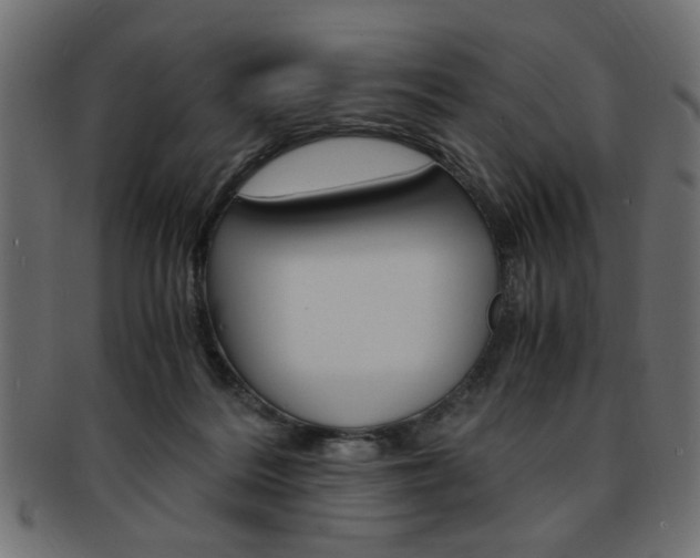 X0000094080220200710190925