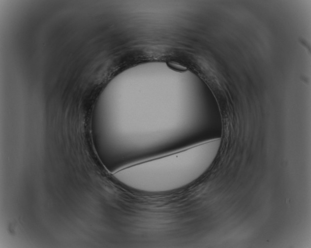 X0000094080221200710190925