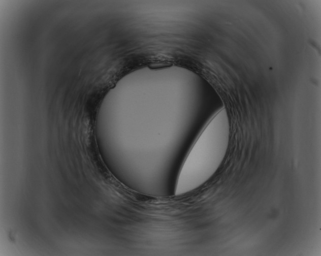 X0000094080223200710190925