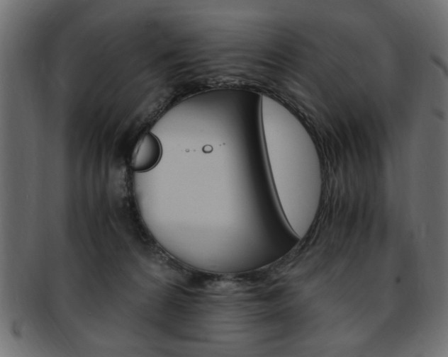 X0000094080224200710190925