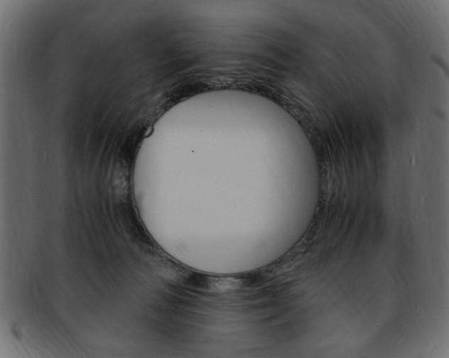 X0000094080226200710190925