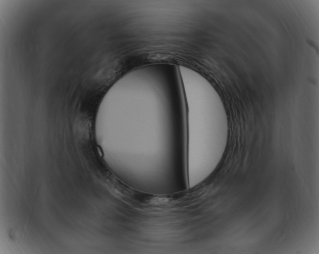 X0000094080227200710190925