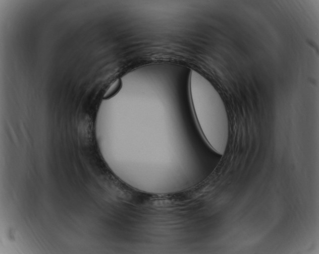 X0000094080228200710190925