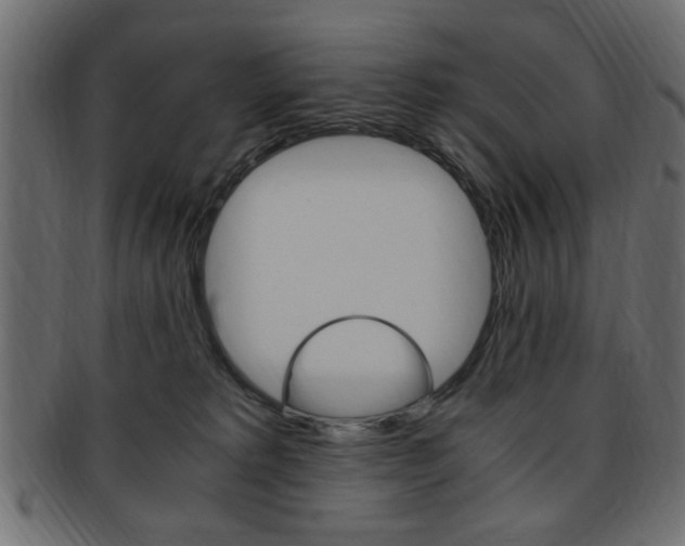 X0000094080229200710190925