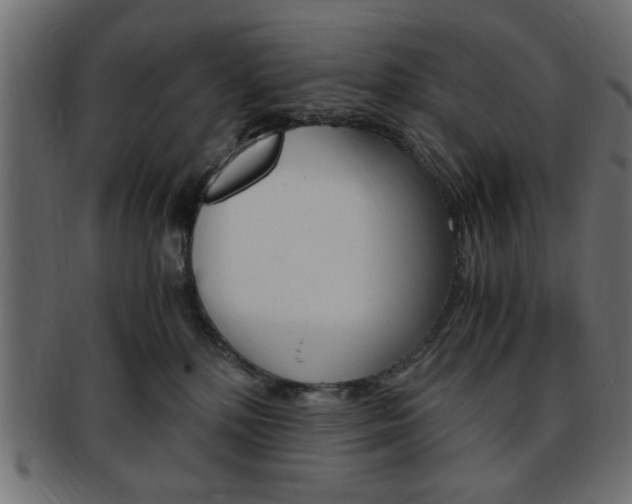 X0000094080232200710190925