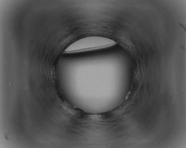 X0000094080233200710190925