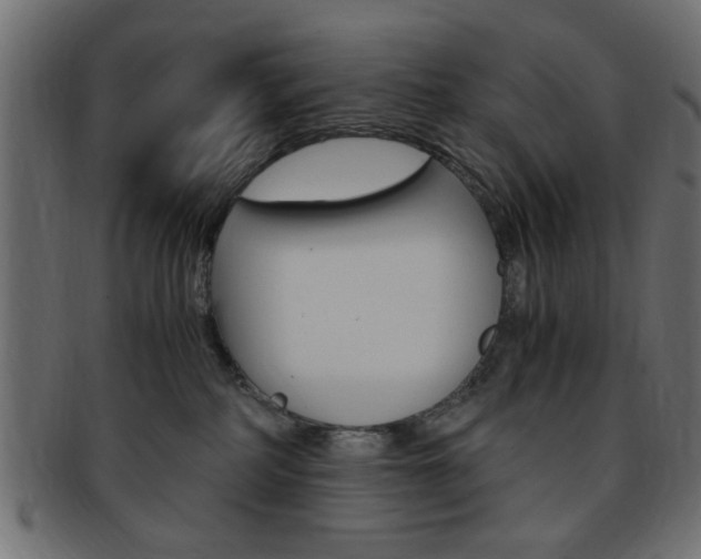 X0000094080234200710190925