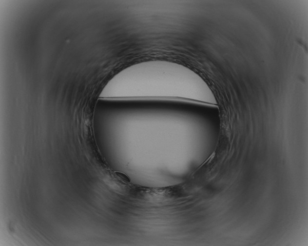 X0000094080235200710190925