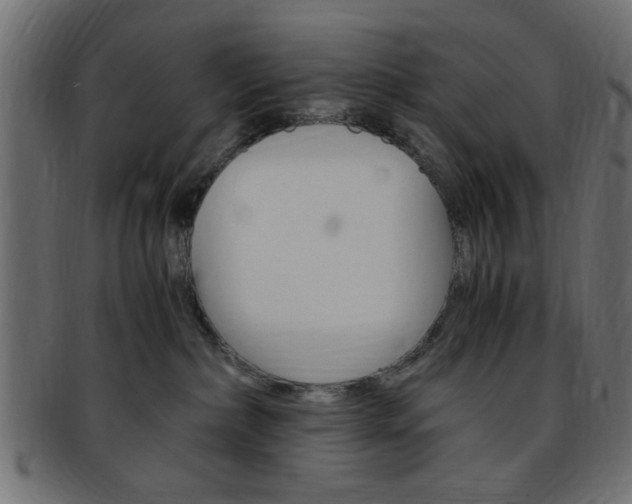 X0000094080236200710190925