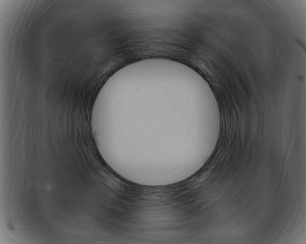 X0000094080237200710190925