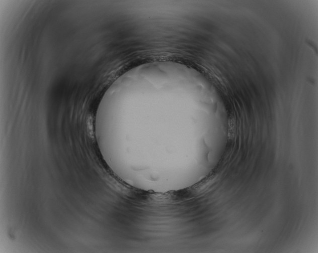 X0000094080238200710190925