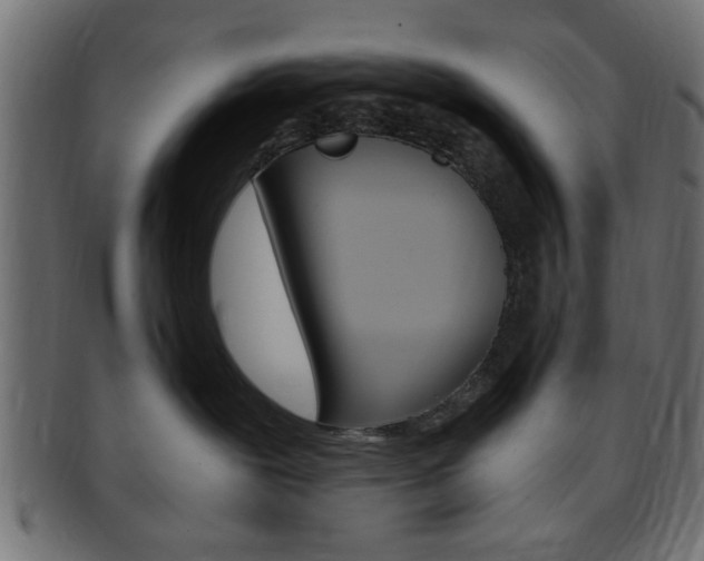 X0000094080239200710190925