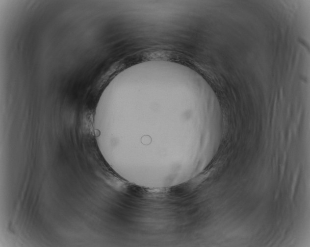 X0000094080240200710190925