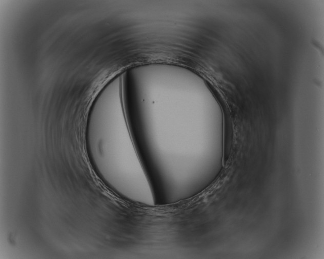 X0000094080241200710190924