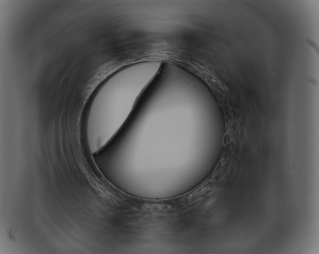 X0000094080242200710190924