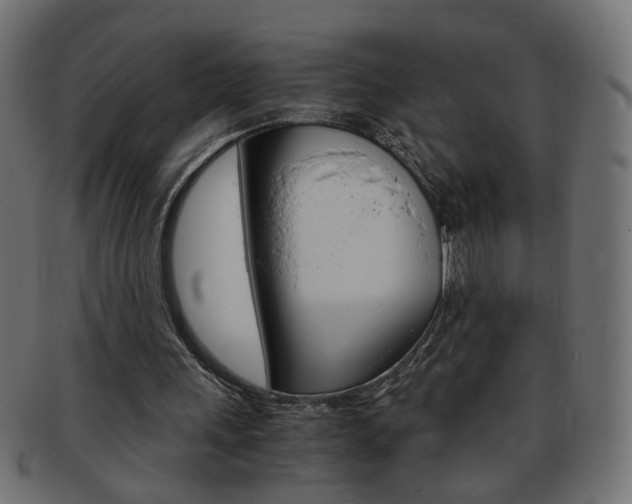 X0000094080243200710190924