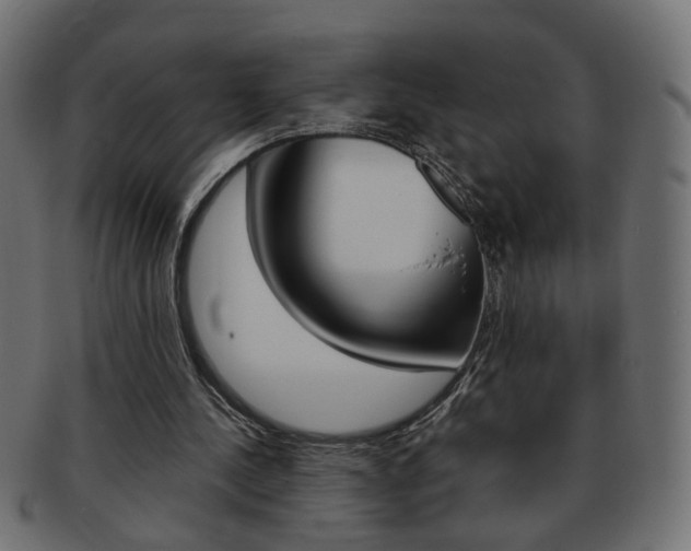 X0000094080244200710190924