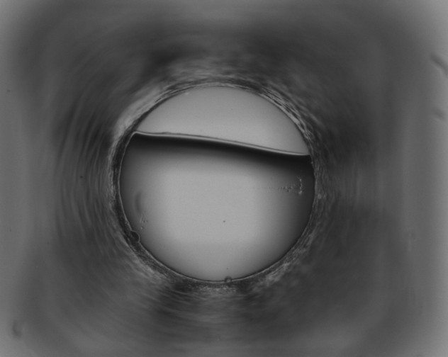 X0000094080245200710190924