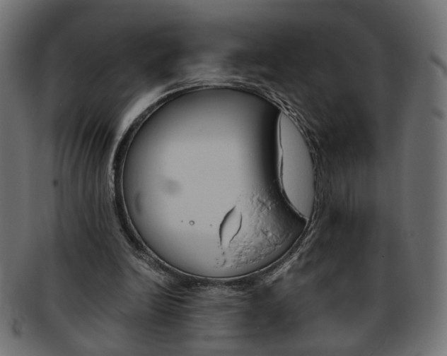 X0000094080246200710190924