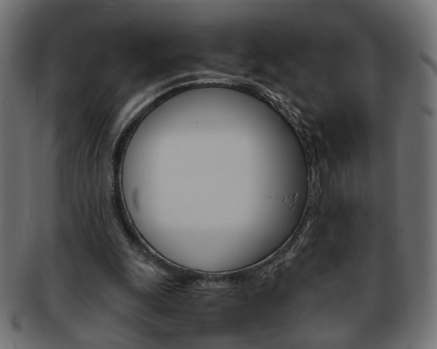 X0000094080247200710190924