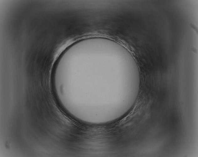 X0000094080248200710190924