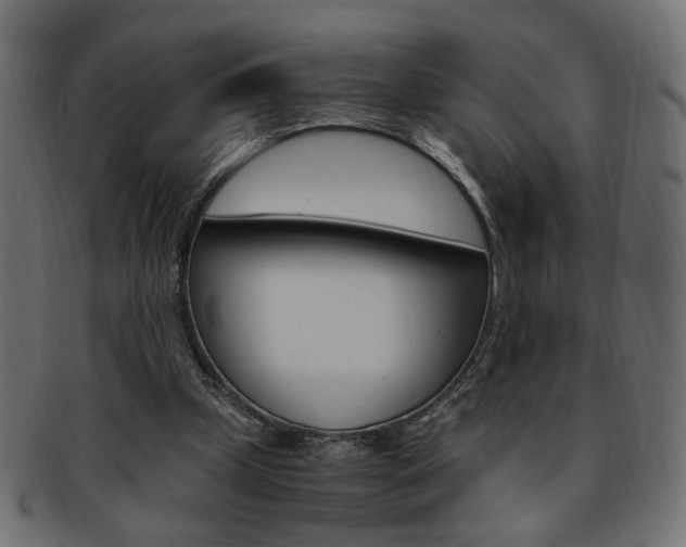 X0000094080249200710190924