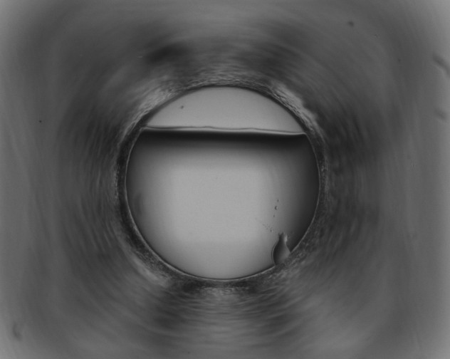 X0000094080250200710190924