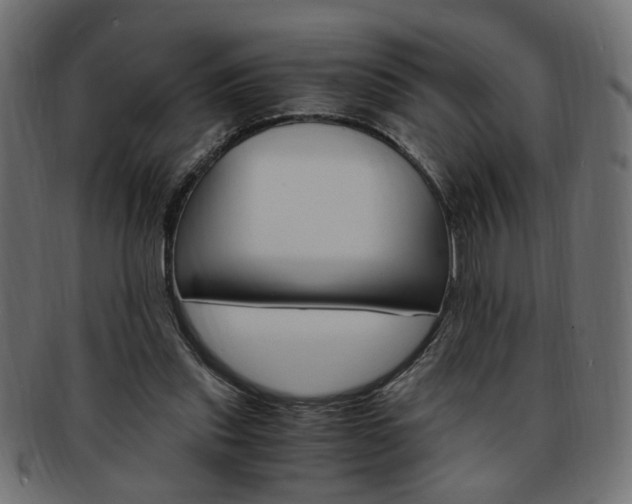 X0000094080253200710190924