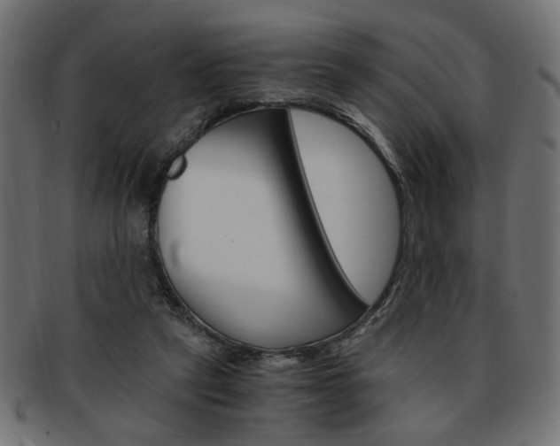 X0000094080257200710190924