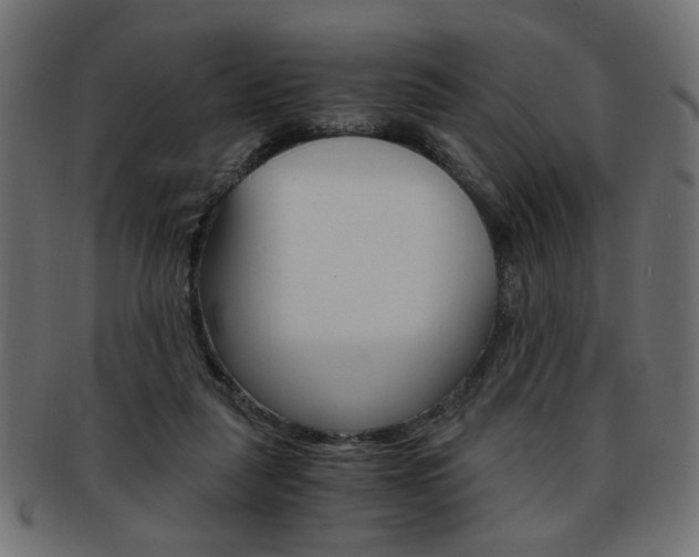 X0000094080259200710190924