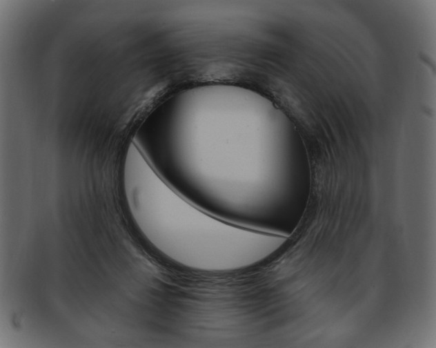 X0000094080260200710190924