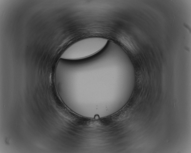 X0000094080262200710190924