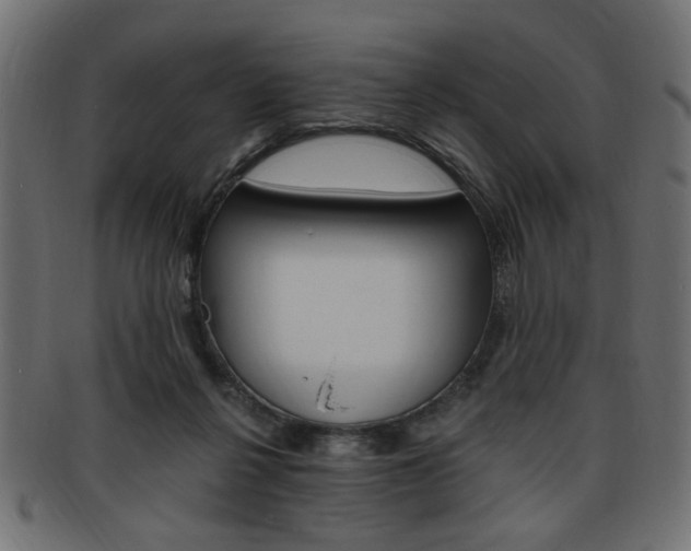 X0000094080264200710190924