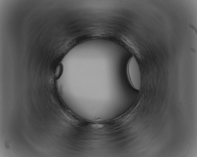 X0000094080265200710190924