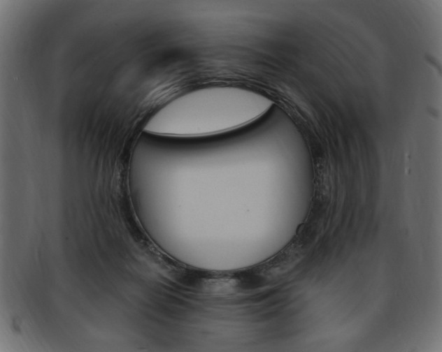 X0000094080266200710190924