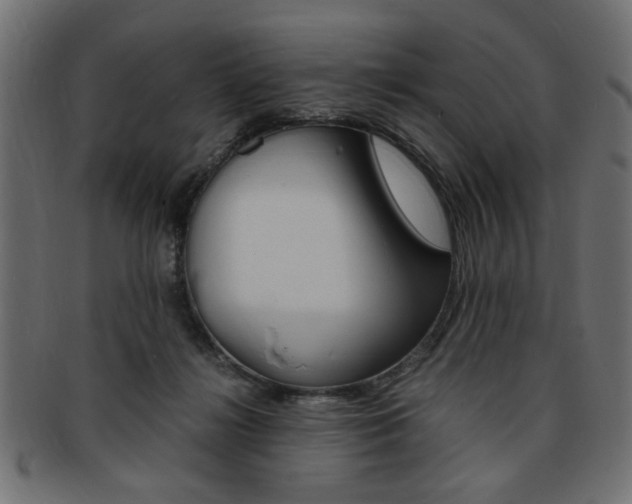 X0000094080268200710190924