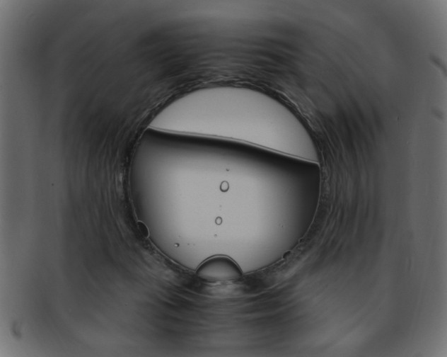 X0000094080269200710190924