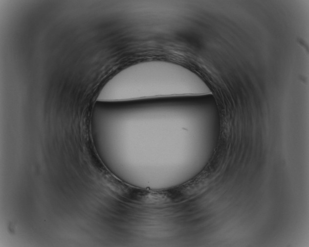 X0000094080270200710190924