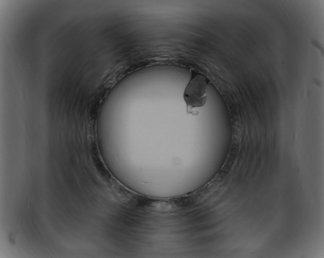 X0000094080272200710190924