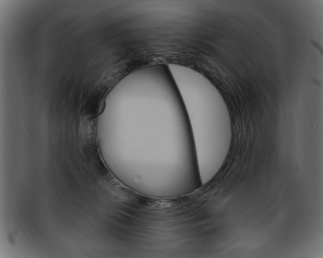 X0000094080276200710190924