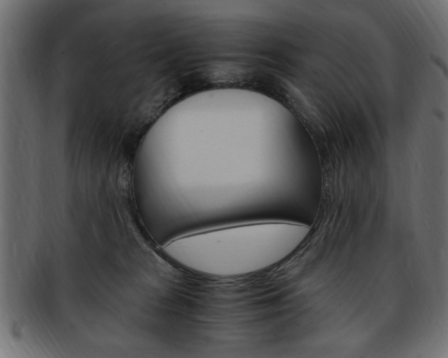 X0000094080277200710190924