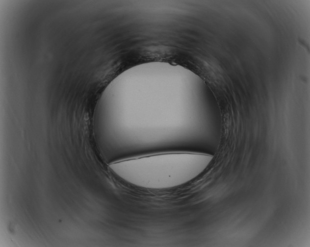 X0000094080279200710190925