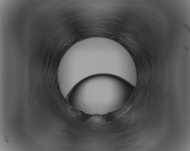 X0000094080280200710190925