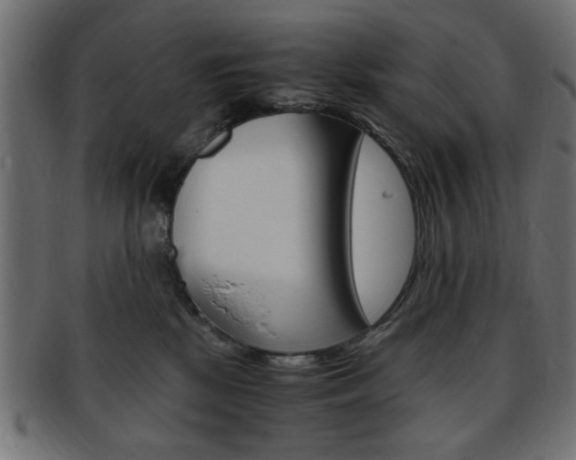 X0000094080281200710190925