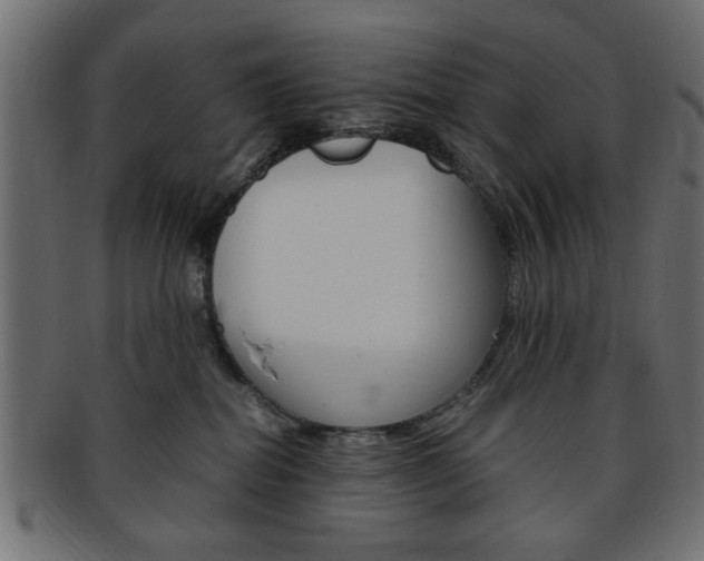 X0000094080282200710190925