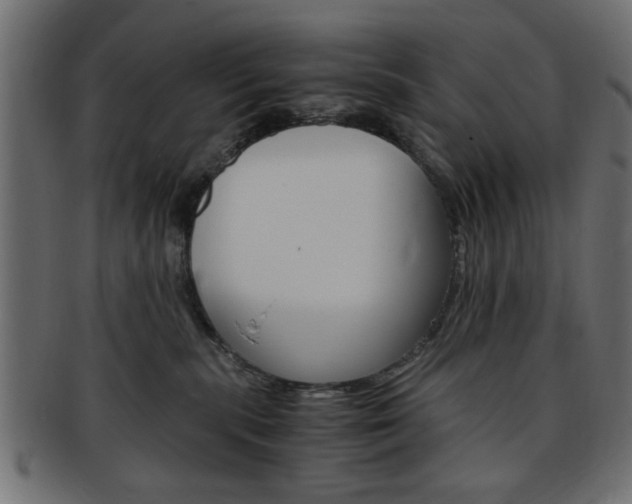 X0000094080283200710190925