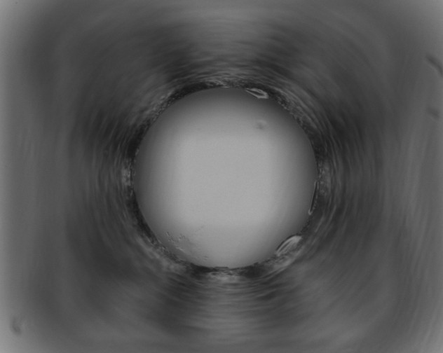 X0000094080284200710190925